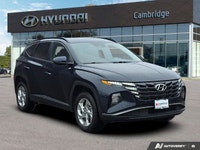 Command attention on every drive with the sophisticated 2024 Hyundai Tucson Preferred, finished in a... (image 6)