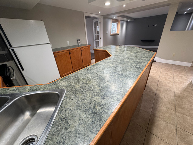 Basement Duplex Delight: Modern 1-Bedroom with Den in Long Term Rentals in Thunder Bay - Image 4