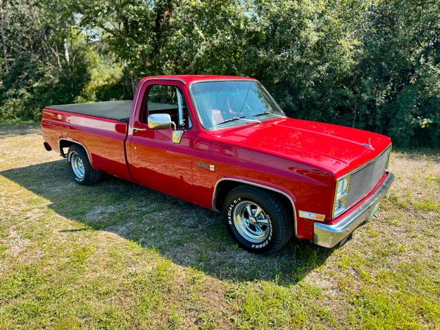 1983 GMC Truck Sierra 1500 Longbox in Cars & Trucks in Ottawa