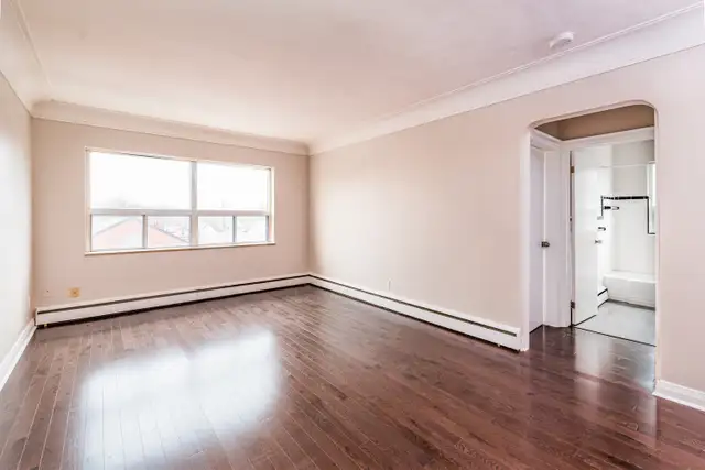 1 BEDROOM AVAILABLE CLOSE TO DOWNTOWN HAMILTON! in Long Term Rentals in Hamilton - Image 12
