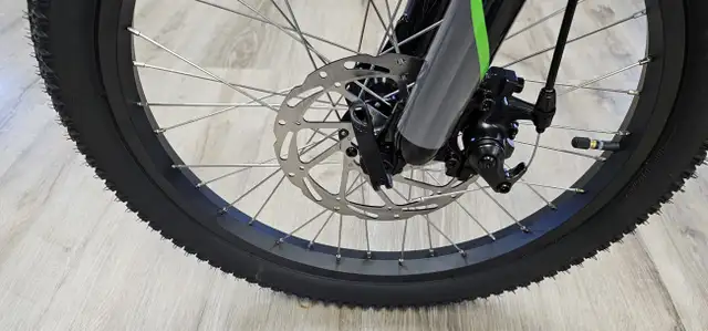 2025 Kawasaki ELEKTRODE 20 in Street, Cruisers & Choppers in Medicine Hat - Image 10