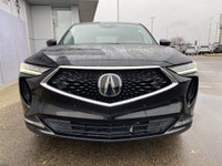 CLEAN CARFAX ONE OWNER, Heated and Cooled Front Seats, Heated Steering Wheel, Back up Camera, PANORA... (image 6)