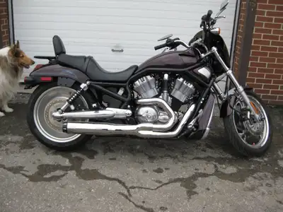 Welcome New Riders! Financing Options Available! This VRSCB has 21,657 miles or only 34,853 kms VRSC...