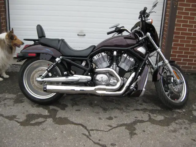 2005 Harley-Davidson VRSCB V-Rod in Street, Cruisers & Choppers in City of Toronto - Image 2