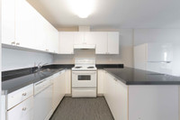 75 Ann Street  - 1 Bed Available | Close to Western University!