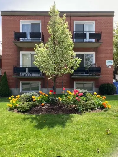 Studio/Bachelor Apt. - Balcony- Parking- 105 Wellington N.