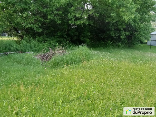 95 000$ - Terrain résidentiel à vendre à St-Robert dans Terrains à vendre  à Saint-Hyacinthe - Image 3