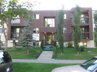 102 Dorshire Bachelor Apt Close to Downtown and NAIT!