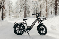 New Fat Tire 750W Cargo Ebike 128km Range Free Shipping Warranty