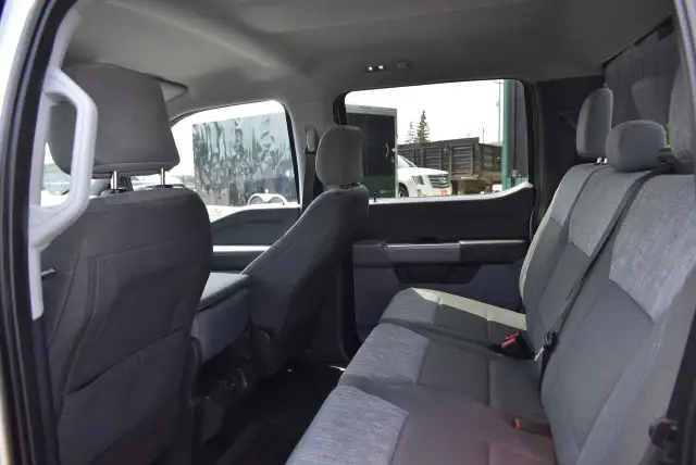 2023 Ford F-150 XLT - 6.5' BOX - 5.0L in Cars & Trucks in Winnipeg - Image 23