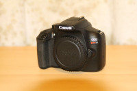 Canon T6 W/Lenses - $400