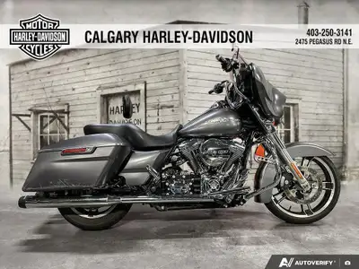 2015 Harley-Davidson STREET GLIDE SPECIAL - 103