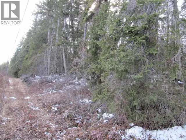 LOT A CANIM-HENDRIX LAKE ROAD Canim Lake, British Columbia in Land for Sale in 100 Mile House - Image 28
