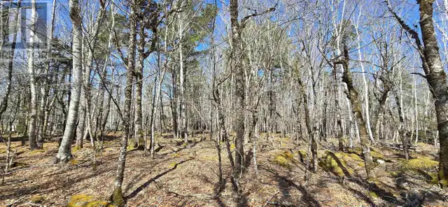 69 Sparkling Spring Lane Labelle, Nova Scotia in Land for Sale in Bridgewater - Image 12