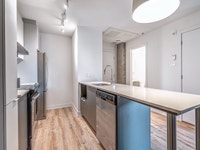 Studio 2.5 2 1/2 3-rental apartment for rent-logement locatif-Saint-Henri-Griffintown-Sud-Ouest-Sout... (image 3)