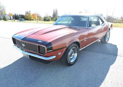 ATTN: AMERICAN BUYERS THE PRICE IS IN CANADIAN FUNDS, PLEASE CALL FOR USA DOLLAR RATES. A beautiful...