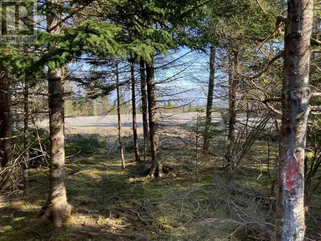 21-1 Mary Cecelia Ridge St Andrew's, Nova Scotia in Land for Sale in New Glasgow - Image 13