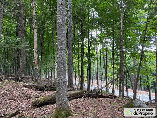 $175,000 - Residential Lot for sale in Morin-Heights — photo 3