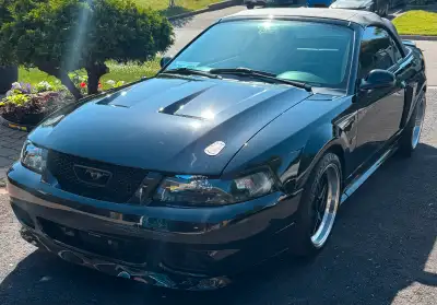 FOR SALE: 2003 Mustang GT convertible 5 speed manual transmission 48,200 km on the car. Dyno report...