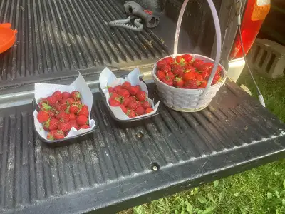 Strawberries, View more