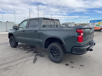 AMVIC Licensed Dealer The 2026 CHEVROLET SILVERADO 1500 ZR2 BISON EDITION in Cypress Gray Metallic w... (image 5)