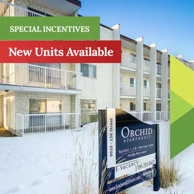 Orchid - 2 Bedroom Apartment for Rent