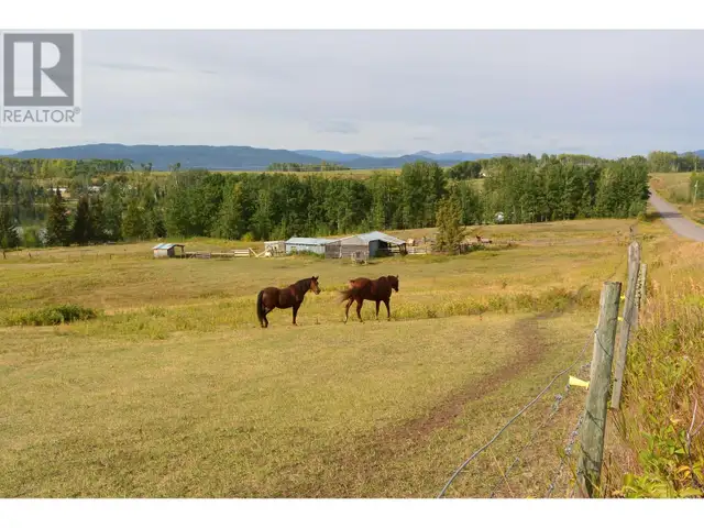 4421 TYHEE LAKE ROAD Telkwa, British Columbia in Land for Sale in Smithers - Image 4