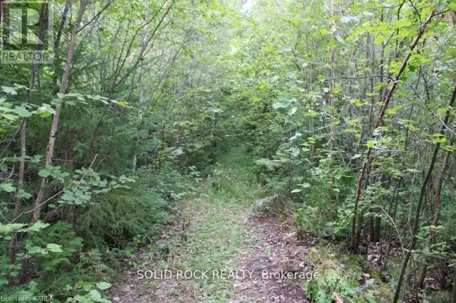 2209 JOCHEM ROAD Edwardsburgh/Cardinal, Ontario in Land for Sale in Woodstock - Image 5
