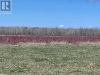 250 SCOTCH LINE ROAD Assiginack, Ontario Sudbury Ontario Preview