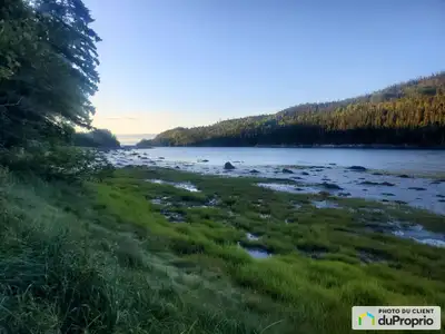 Magnifique terrain boisé avec la possibilité de batir au bord de l'eau avec vue sur la grande Baie S...