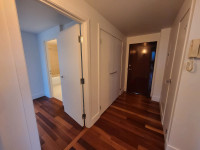 Plus de choix, plus de confort, à portée de main ! "Découvrez dès maintenant toutes nos options de l... (image 7)