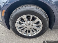 Rose City Ford | Heated Seats | Apple Car Play | Android Auto | Bose Premium Audio | | Power Liftgat... (image 9)