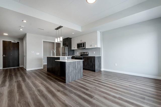 Stunning 1 Bedroom + Den Apartments  STEPS TO THE BOARDWALK in Long Term Rentals in Kitchener / Waterloo - Image 4