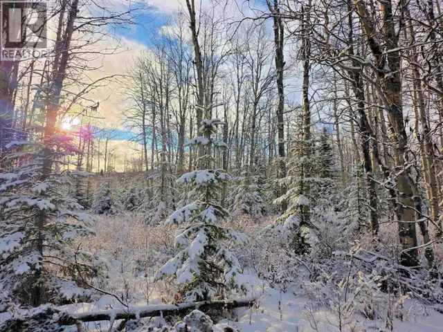 FRAC N1/2 DL 2557 BINTA ROAD Burns Lake, British Columbia in Land for Sale in Burns Lake - Image 22