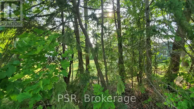LOT 59 47TH STREET S Wasaga Beach, Ontario in Land for Sale in Oakville / Halton Region - Image 8