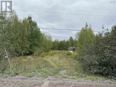 Here is your chance to own 2.41 +/- acres off Lake Road, Tatamagouche NS. This lot is partially clea...