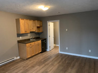 303 A MCLAUGHLIN - RENOVATED - STUDIO/BACHELOR - AVAIL NOW