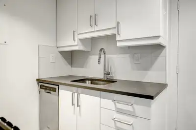 one bedroom one bathroom near McGill - ID 2889