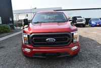 2022 FORD F-150 XLT SUPERCREW 4X4 FX4 Legendary 5.0L V8 • FX4 Off-Road Package • ONLY 141,563 KMS •... (image 6)