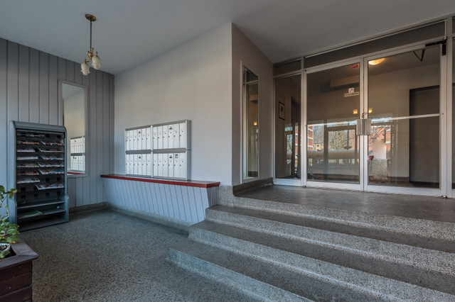 3 1/2 ROSEMONT, PRES DE PIE-IX, PROPRE, RÉNOVÉ, FRAIS PEINT dans Locations longue durée  à Ville de Montréal - Image 4