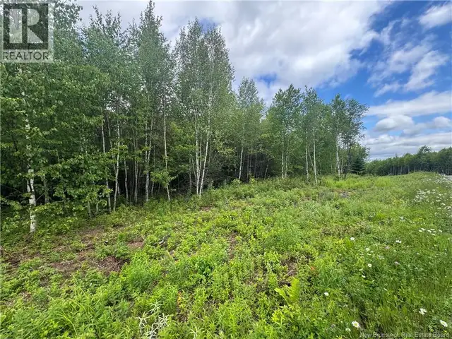 Lot 25 Misty Mountain Road Elmsville, New Brunswick in Land for Sale in Saint John - Image 28