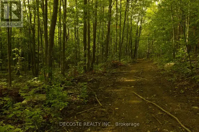 0000 COUNTY 43 ROAD North Glengarry, Ontario in Land for Sale in Ottawa - Image 29