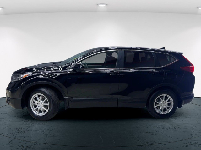 2019 Honda CR-V in Cars & Trucks in Edmonton - Image 4