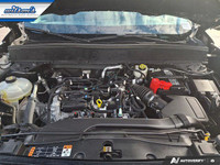 Look at this certified 2024 Ford Bronco Sport Outer Banks 4x4 | Heated Seats + Steering | Remote Sta... (image 8)