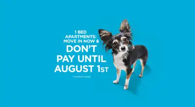 Broadstreet's Evergreen Bend offers 1, 2, and 3 bedroom pet friendly apartments for rent, in the nat...