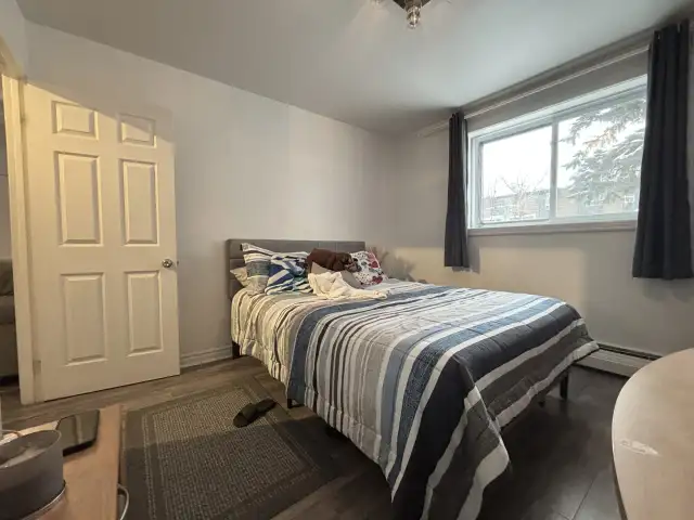 Appartement 4 ½ à louer Charlesbourg juillet 2026 in Long Term Rentals in Québec City - Image 5