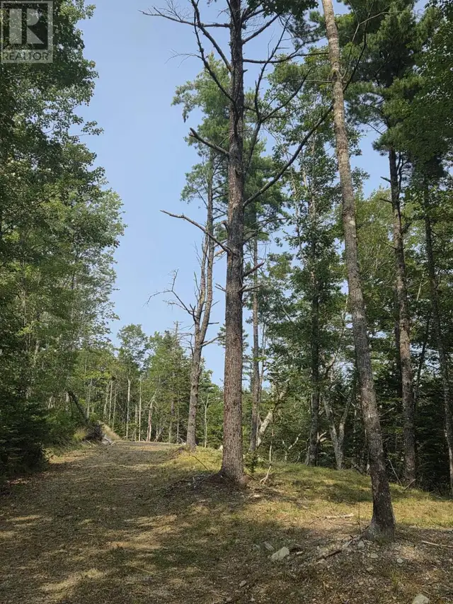 Highway 103 Sable River, Nova Scotia in Land for Sale in Yarmouth - Image 6