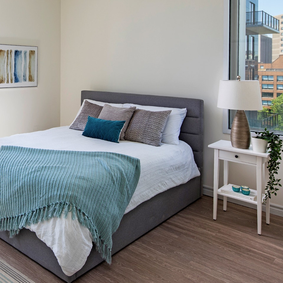 BEST LOCATION FOR FALL - LOVELY 2 BED ON SPRING GARDEN ROAD 4