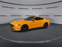 // ACCIDENT FREE!! // Turn every drive into an event in this used 2019 Ford Mustang EcoBoost Fastbac... (image 3)