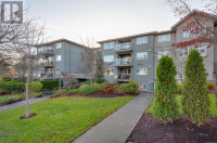 307 951 Topaz Ave Victoria, British Columbia